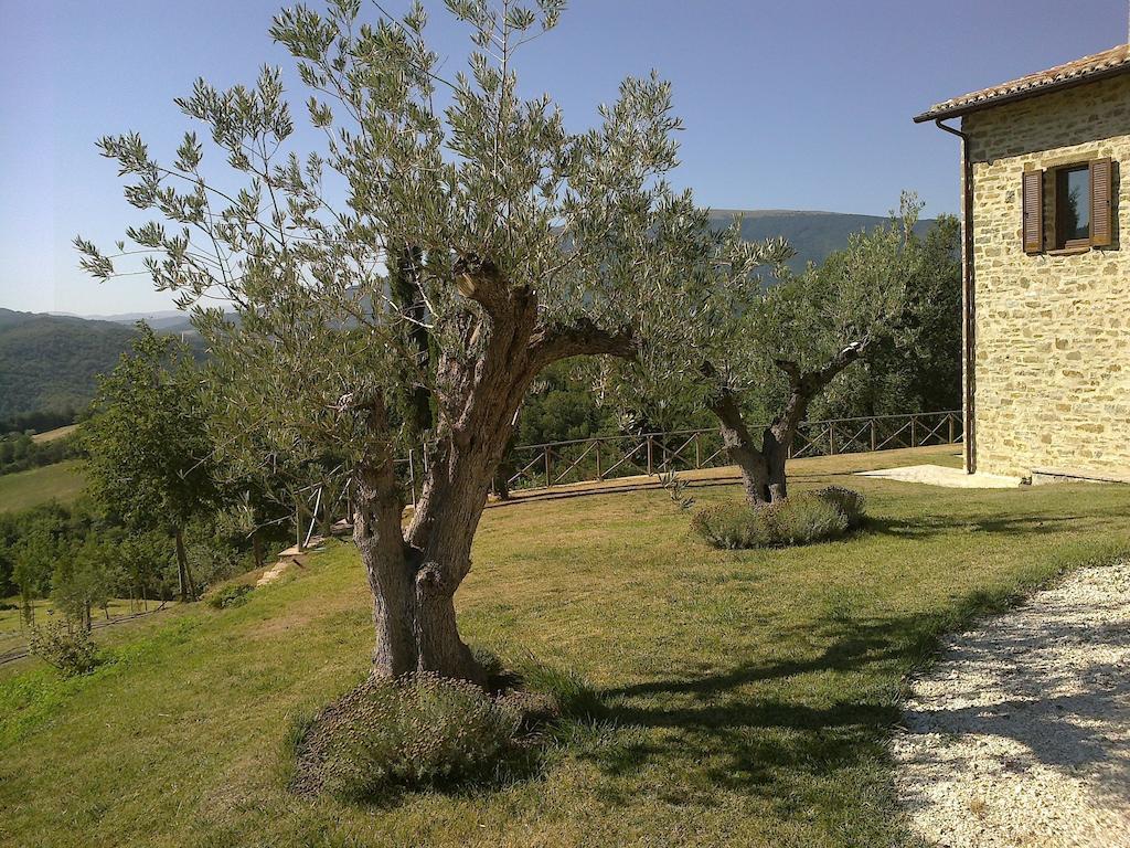 Agriturismo Paradiso 44 Assisi Exterior foto