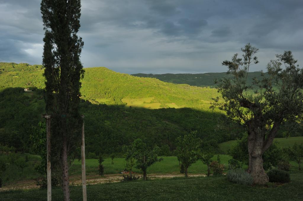 Agriturismo Paradiso 44 Assisi Exterior foto