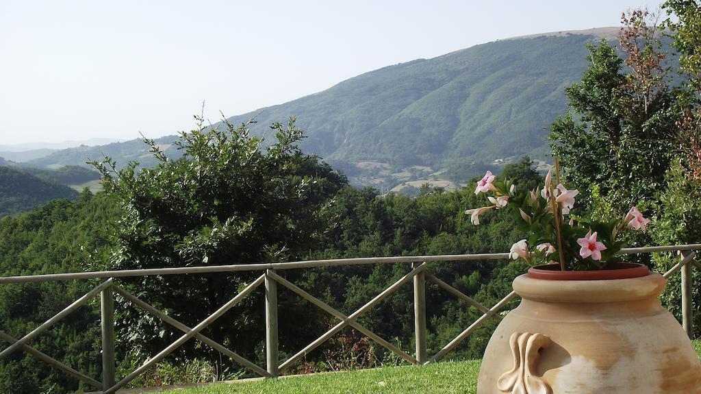 Agriturismo Paradiso 44 Assisi Exterior foto
