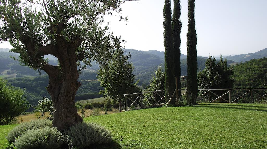Agriturismo Paradiso 44 Assisi Exterior foto