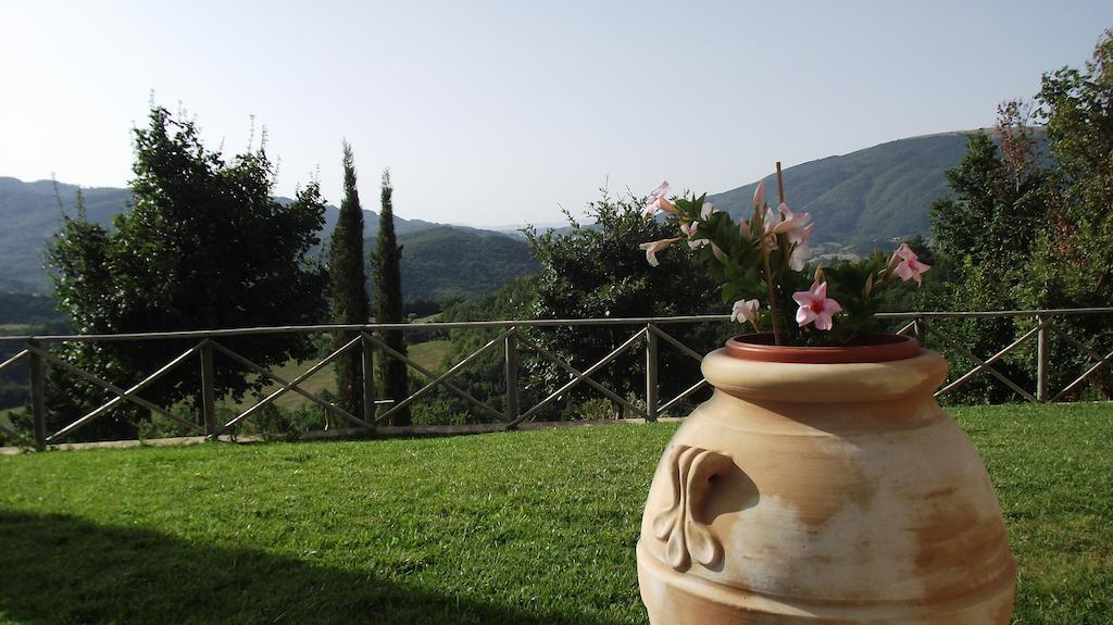 Agriturismo Paradiso 44 Assisi Exterior foto