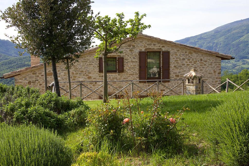 Agriturismo Paradiso 44 Assisi Exterior foto