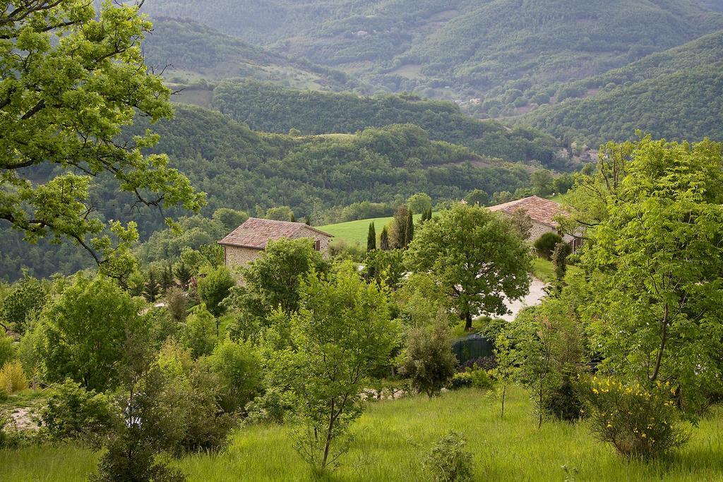 Agriturismo Paradiso 44 Assisi Exterior foto