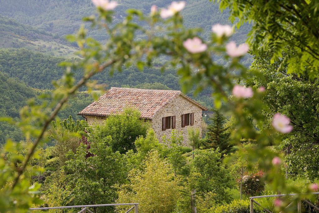 Agriturismo Paradiso 44 Assisi Exterior foto